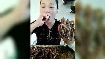 全球猎奇爆料视频大全在线观看,猎奇爆料视频大全在线揭秘